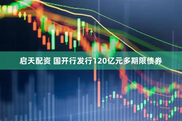 启天配资 国开行发行120亿元多期限债券